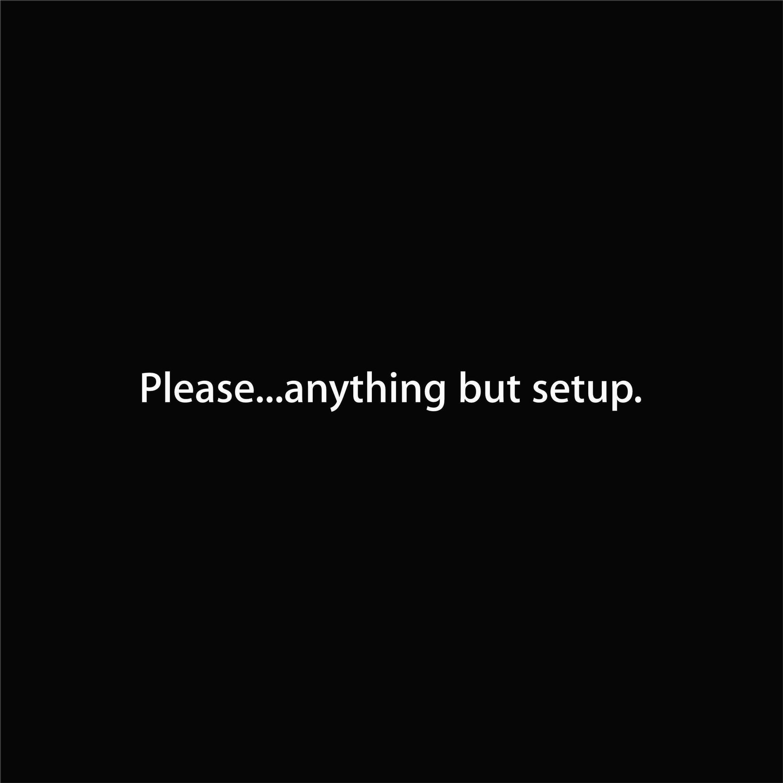Please...anything but setup.